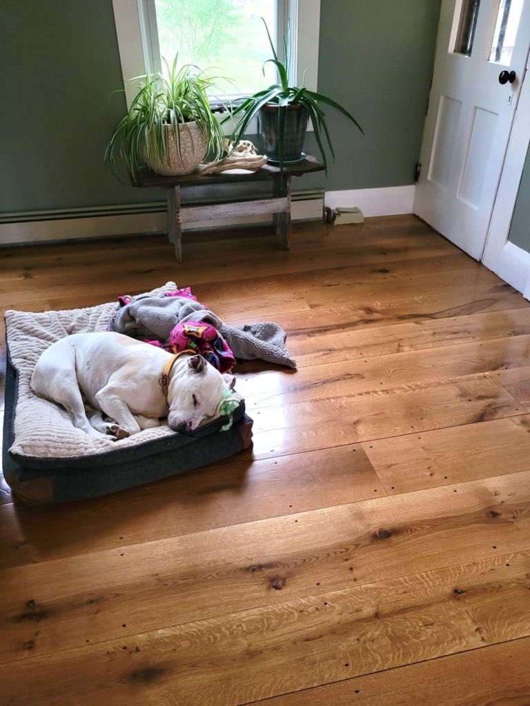 Dog sleeping on a dog bed on a wide plank white oak floor