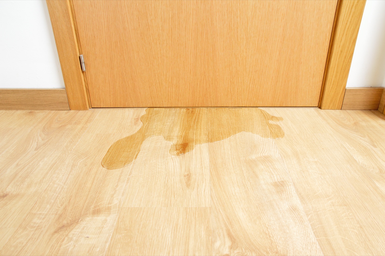 Water pooled on an oak hardwood floor near a door