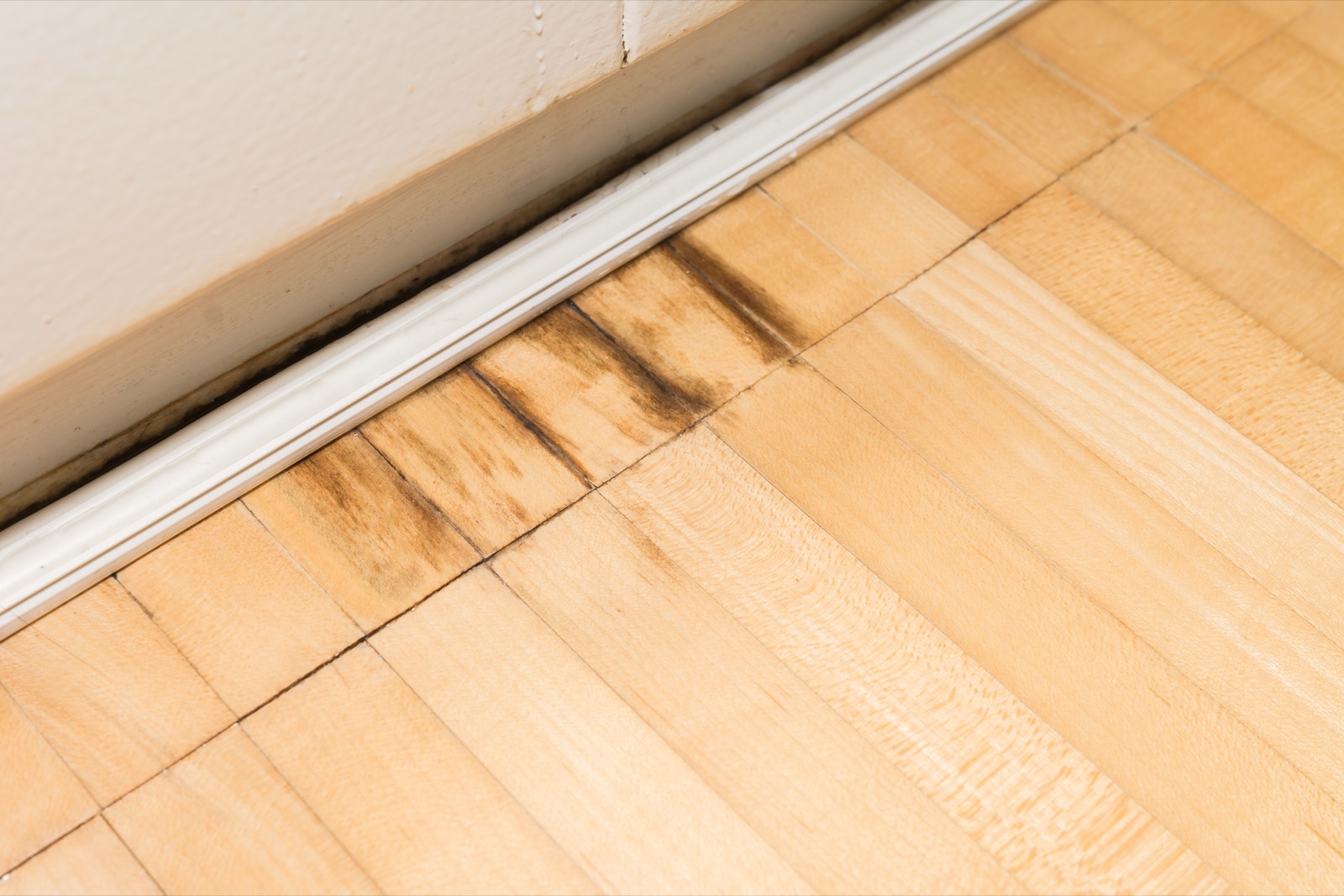Black moisture stains on a hardwood floor along a baseboard